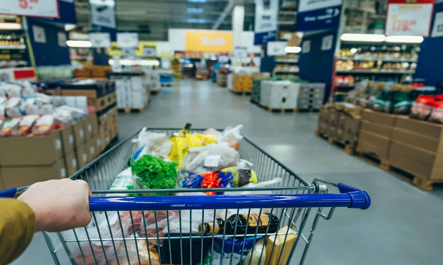 مصر للأسواق الحرة ترتفع بأرباحها بنهاية النصف الثاني